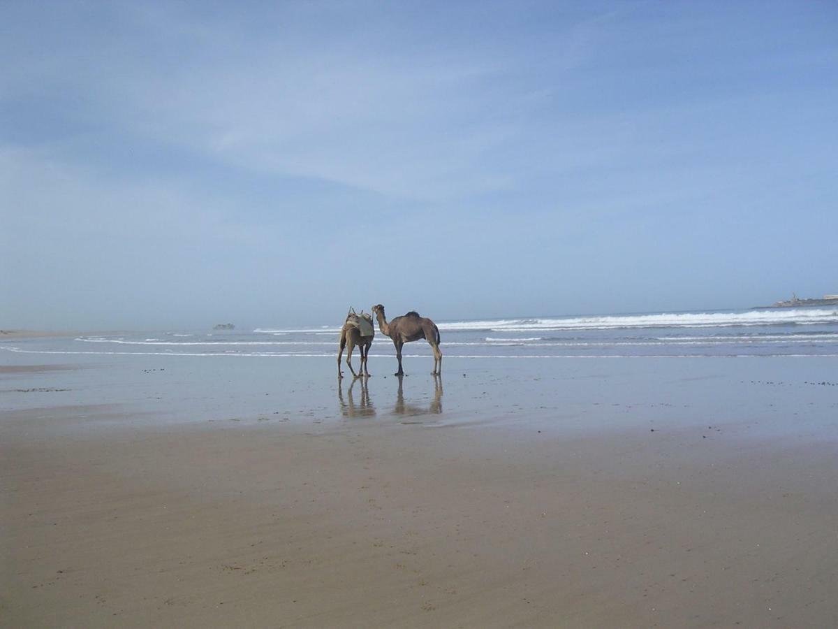 Stunning Loft With Pools Near The Beach Essaouira Exterior photo